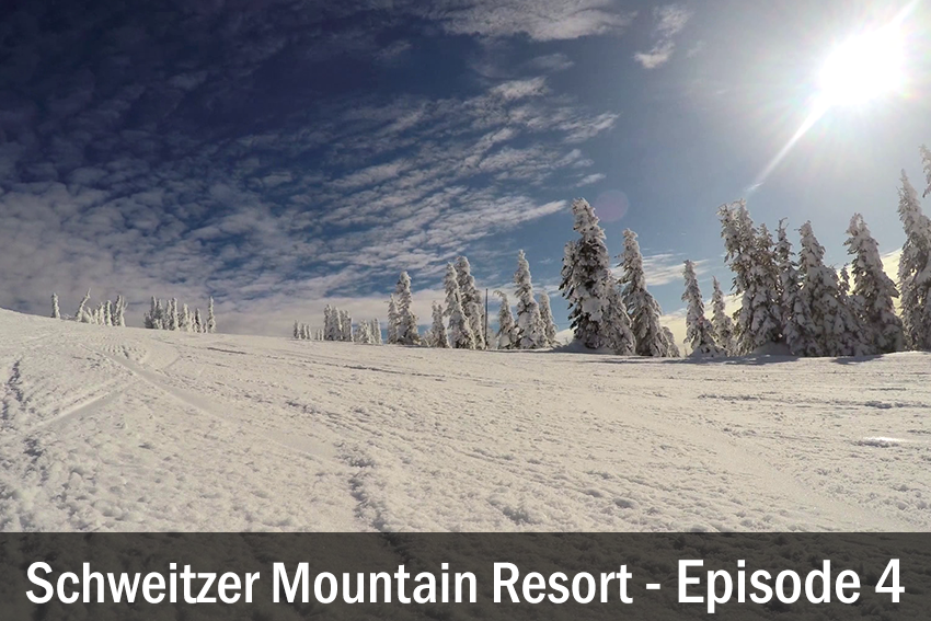 Schweitzer